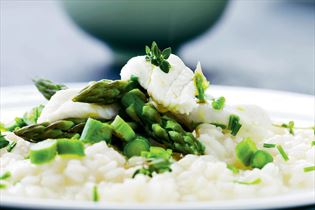 Risotto mit Rotzunge und Spargel