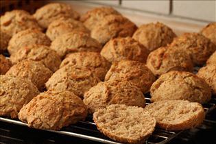 Vollkornbrötchen (lange Teiggehzeit)