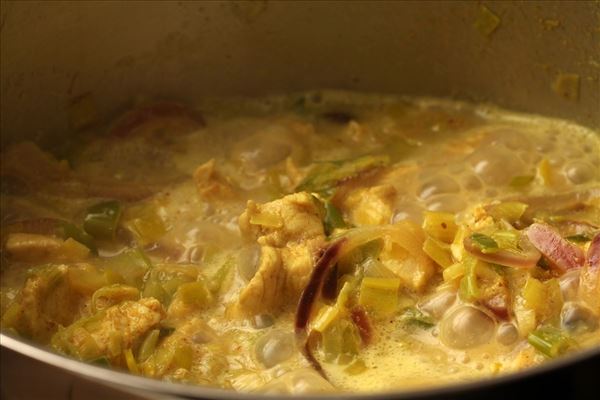 Hähnchen in Curry mit Pasta