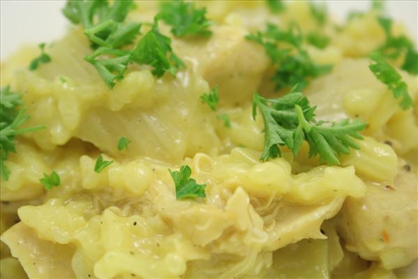 Risotto mit Hähnchen und Fenchel