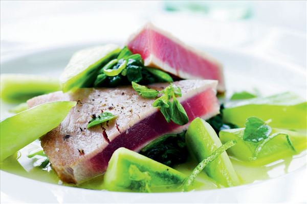 Thunfisch mariniert mit Gurke und frischem Oregano