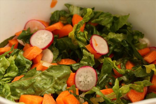 Spareribs mit leichtem Salat
