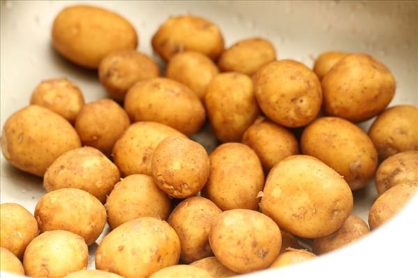 Neue Kartoffeln mit Petersiliensauce und Frikadellen