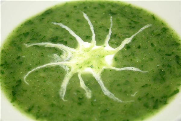 Petersiliensuppe mit Kartoffeln und Zwiebel