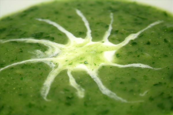 Petersiliensuppe mit Kartoffeln und Zwiebel