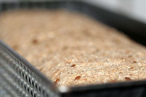 Selbst gebackenes Roggenbrot mit gerösteten Mandeln