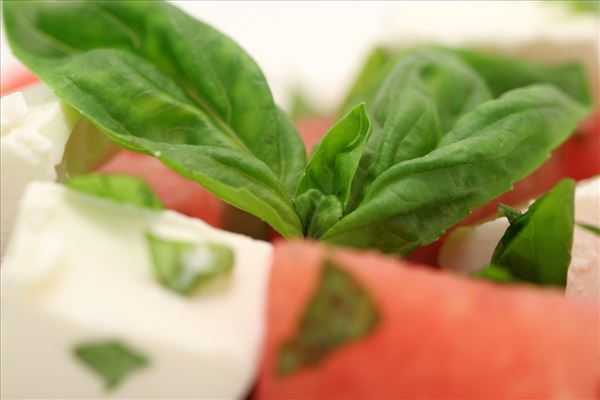 Wassermelonensalat mit Feta und Basilikum