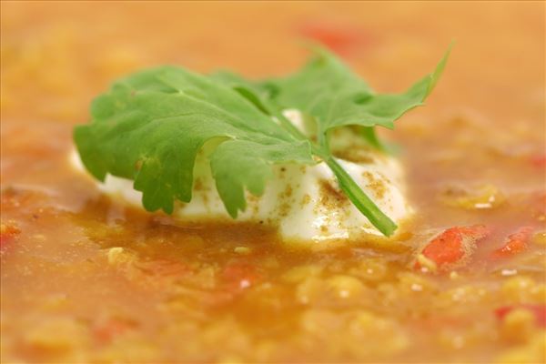 Indische Linsensuppe