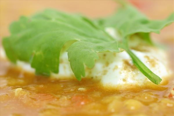 Indische Linsensuppe