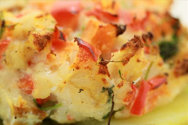 Fisch-Hacksteaks mit Gurken-Ingwer-Salat