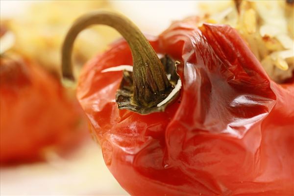 Gefüllte Snack-Paprika mit Salbei und Rosmarin