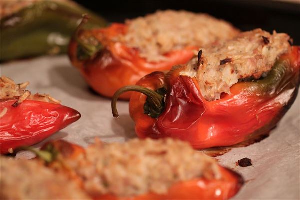 Gefüllte Snack-Paprika mit Salbei und Rosmarin