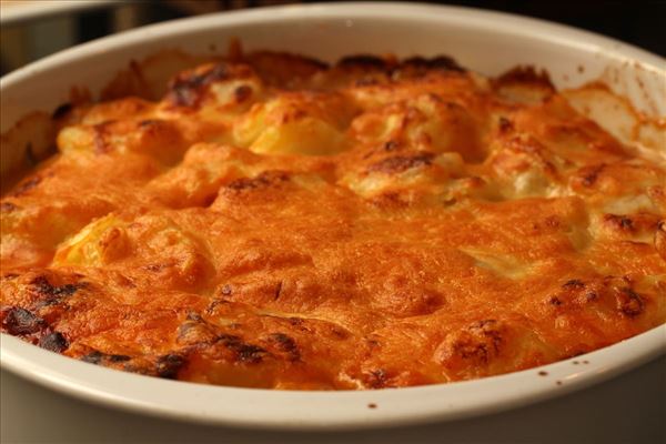 Gehacktes Rindfleisch mit Kartoffeldecke