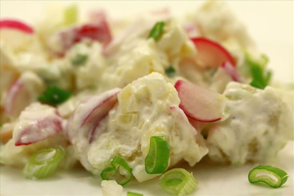 Kartoffelsalat mit Radieschen und Frühlingszwiebeln