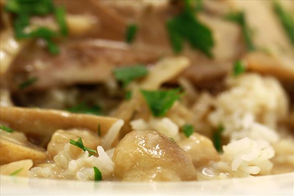Estragon-Hähnchen mit Reis und Rahmsauce